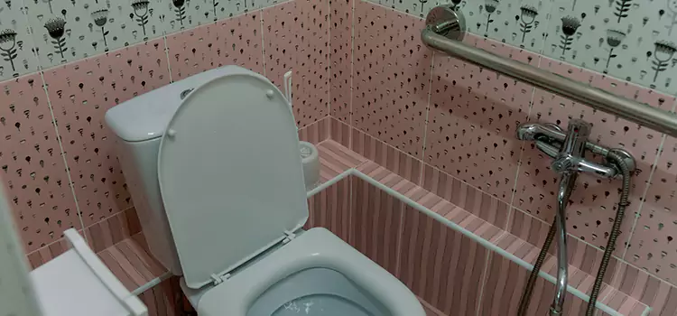 Meeting Diverse Needs With Accessible Restroom Solutions in Sachse, TX